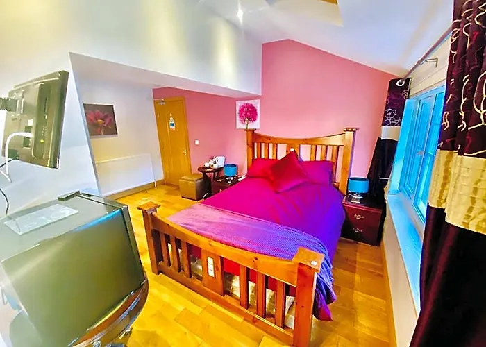 Dreamhaven